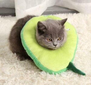 Super Soft Plush Cat Cone Collar